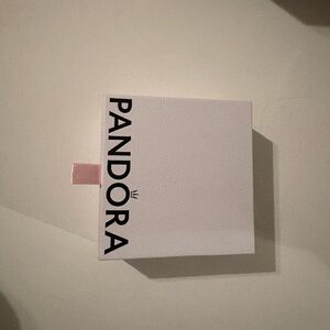 Pandora Silver Bracelet in Elegant Box